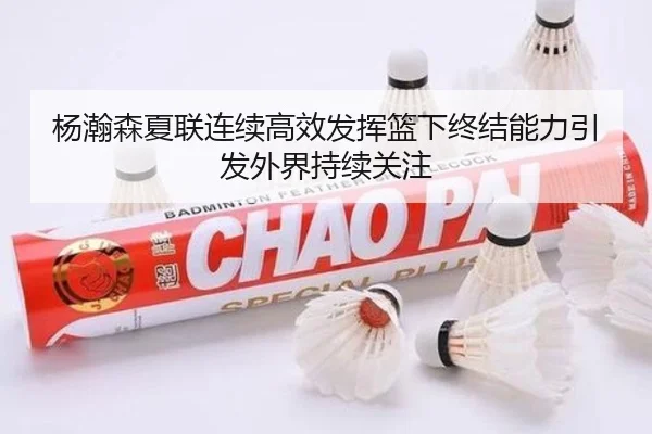 杨瀚森夏联连续高效发挥篮下终结能力引发外界持续关注